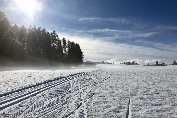 Froideville
